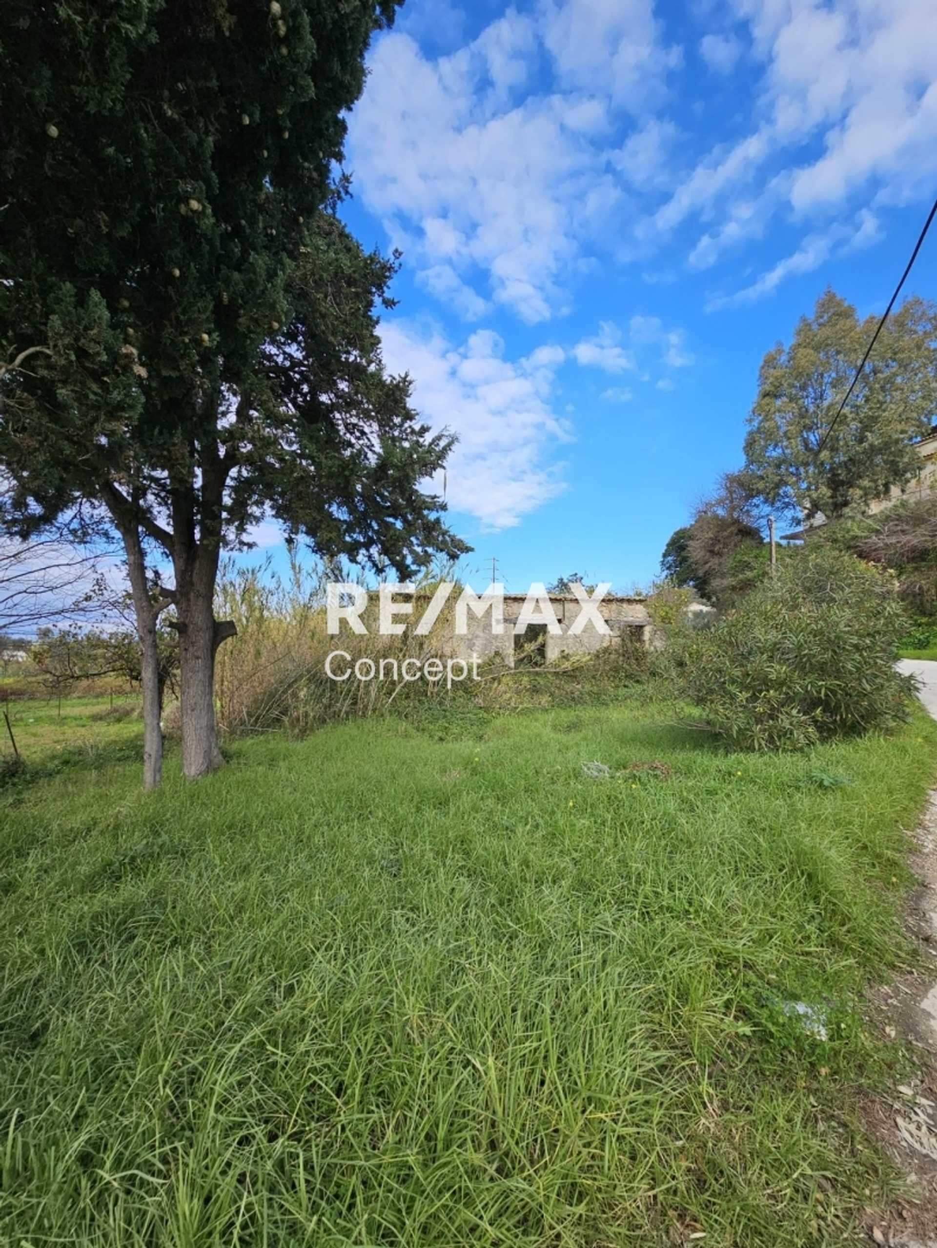 Property thumbnail 3