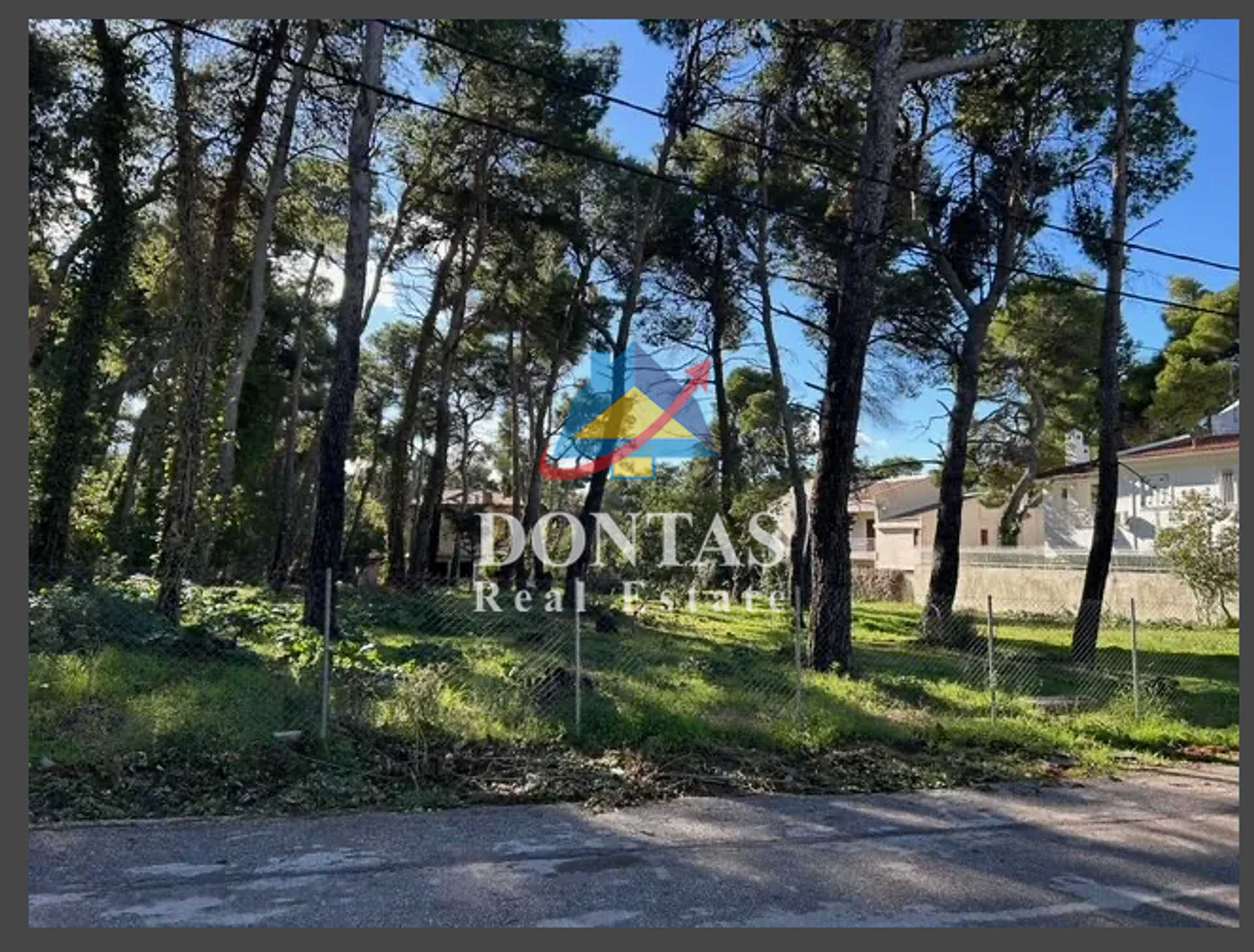 Property thumbnail 3