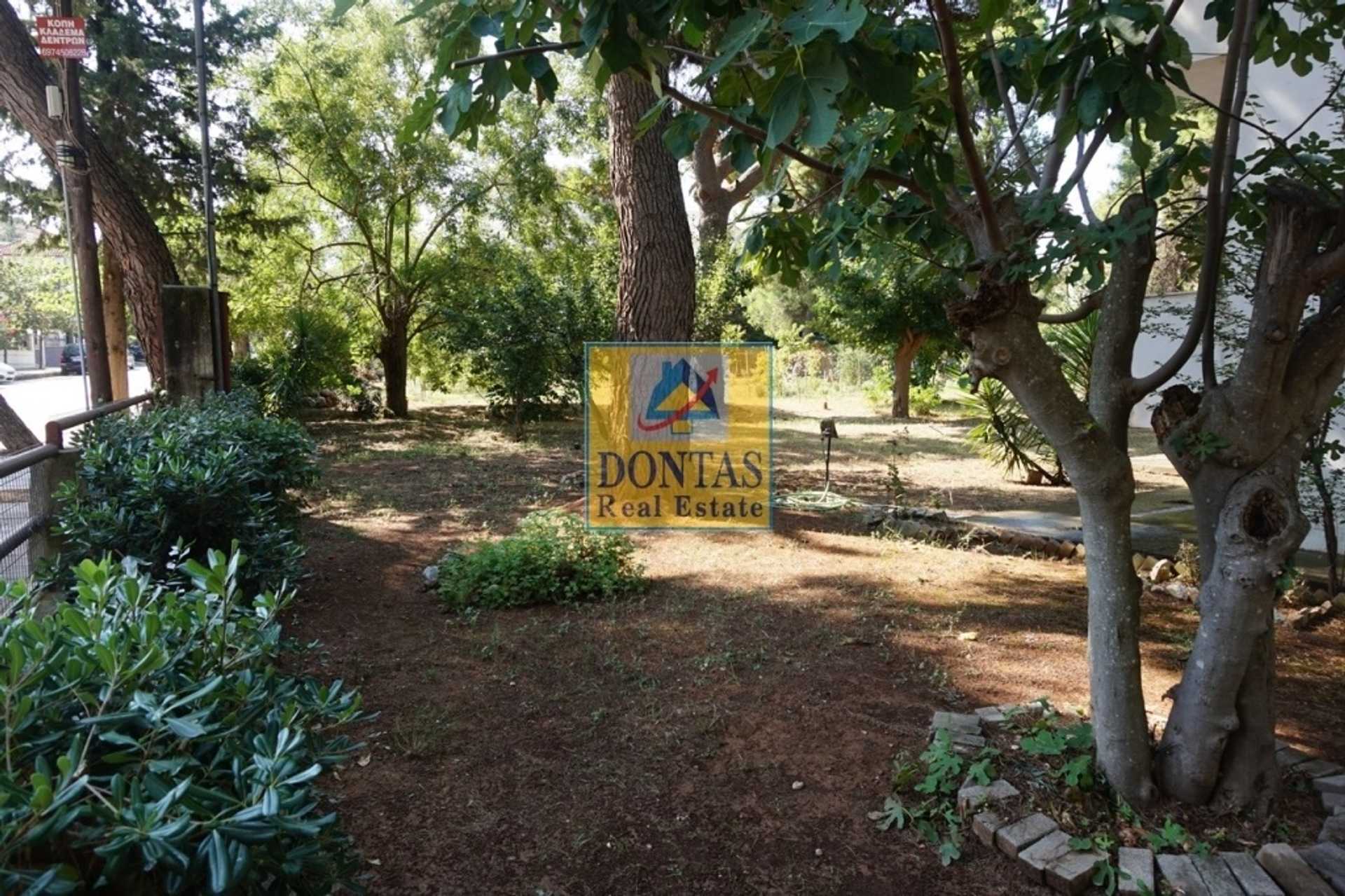 Property thumbnail 3