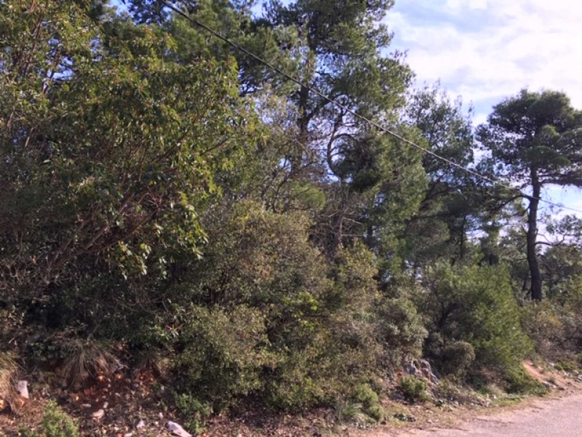 Property thumbnail 4