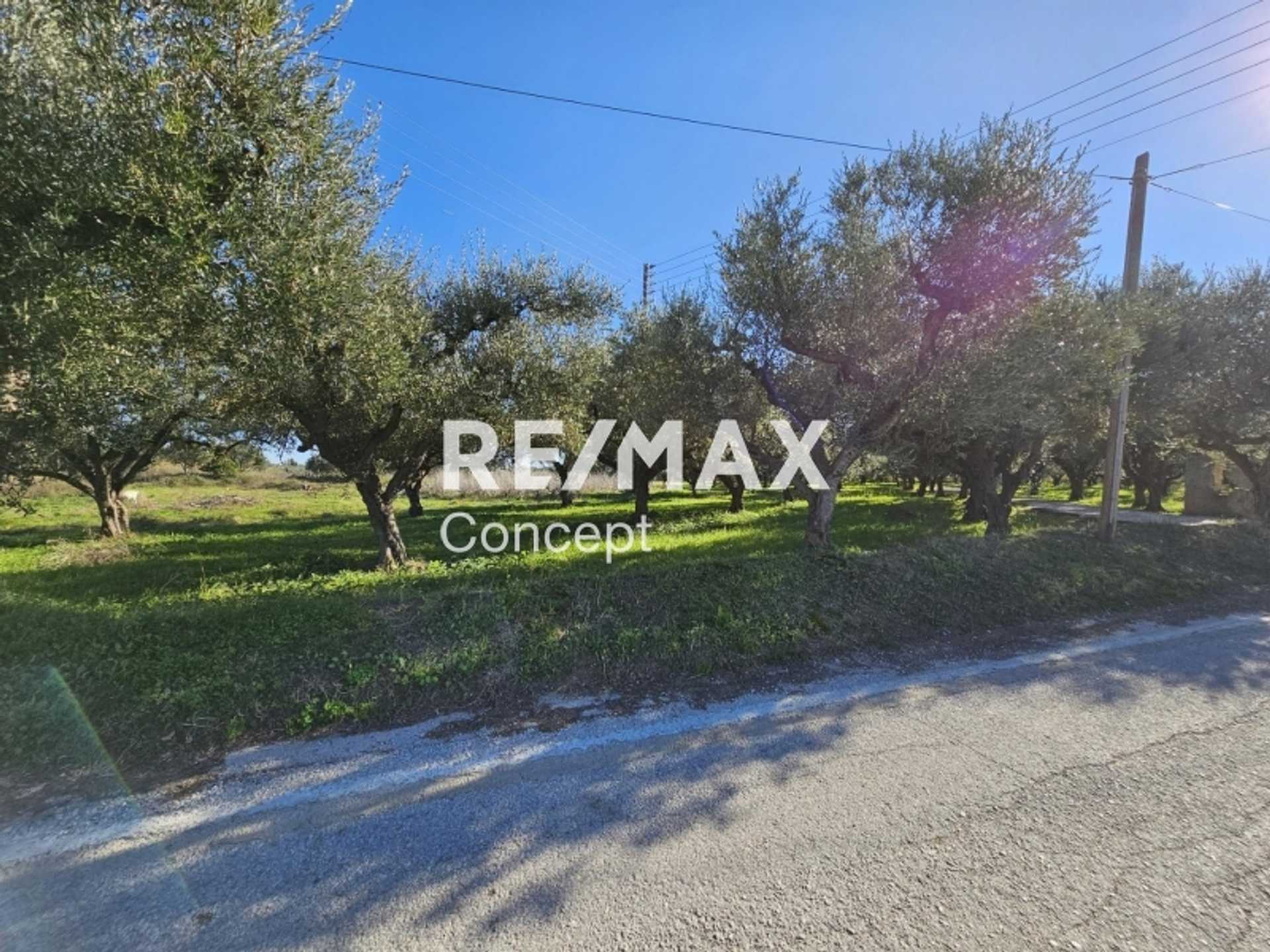 Property thumbnail 4