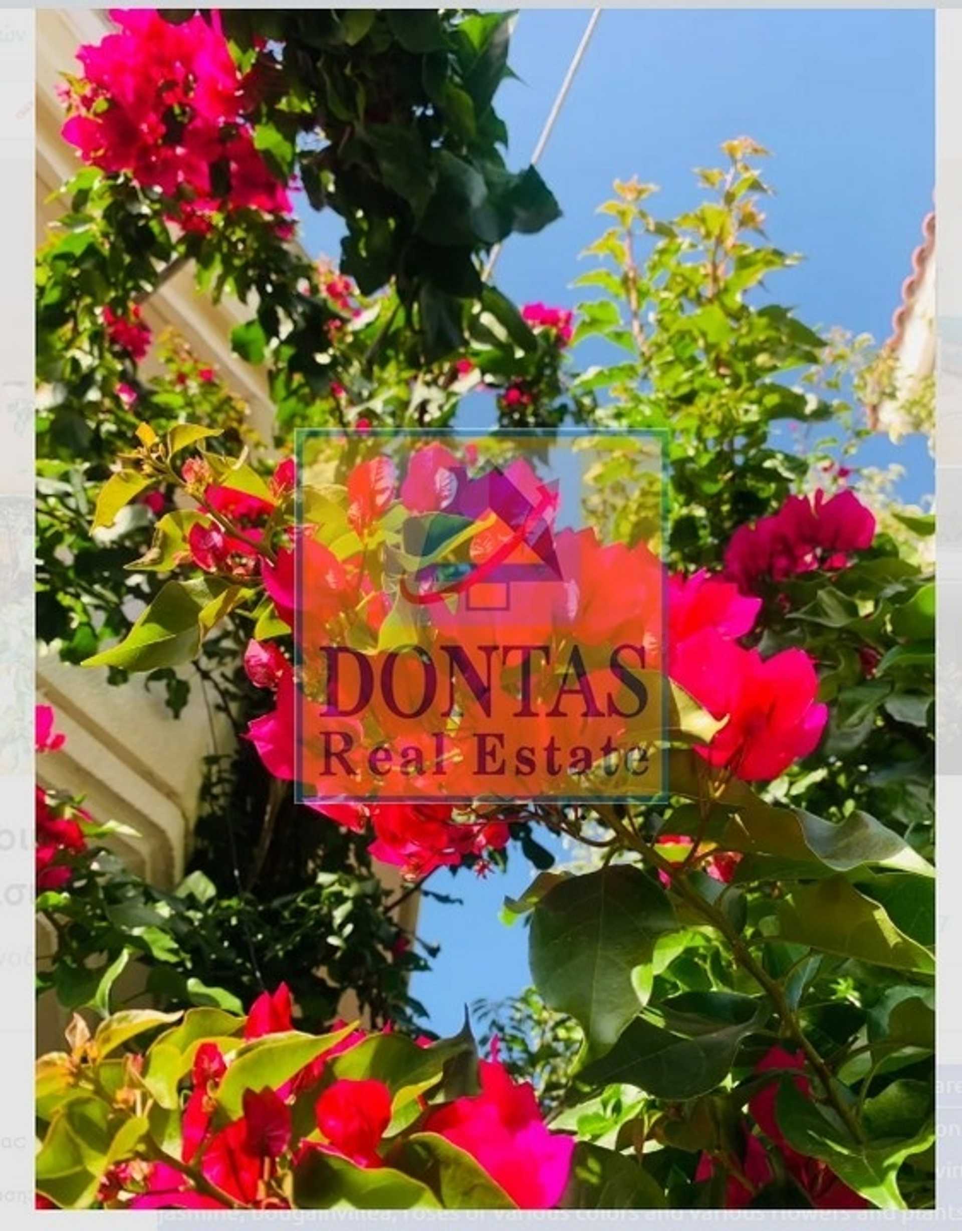 Property thumbnail 4