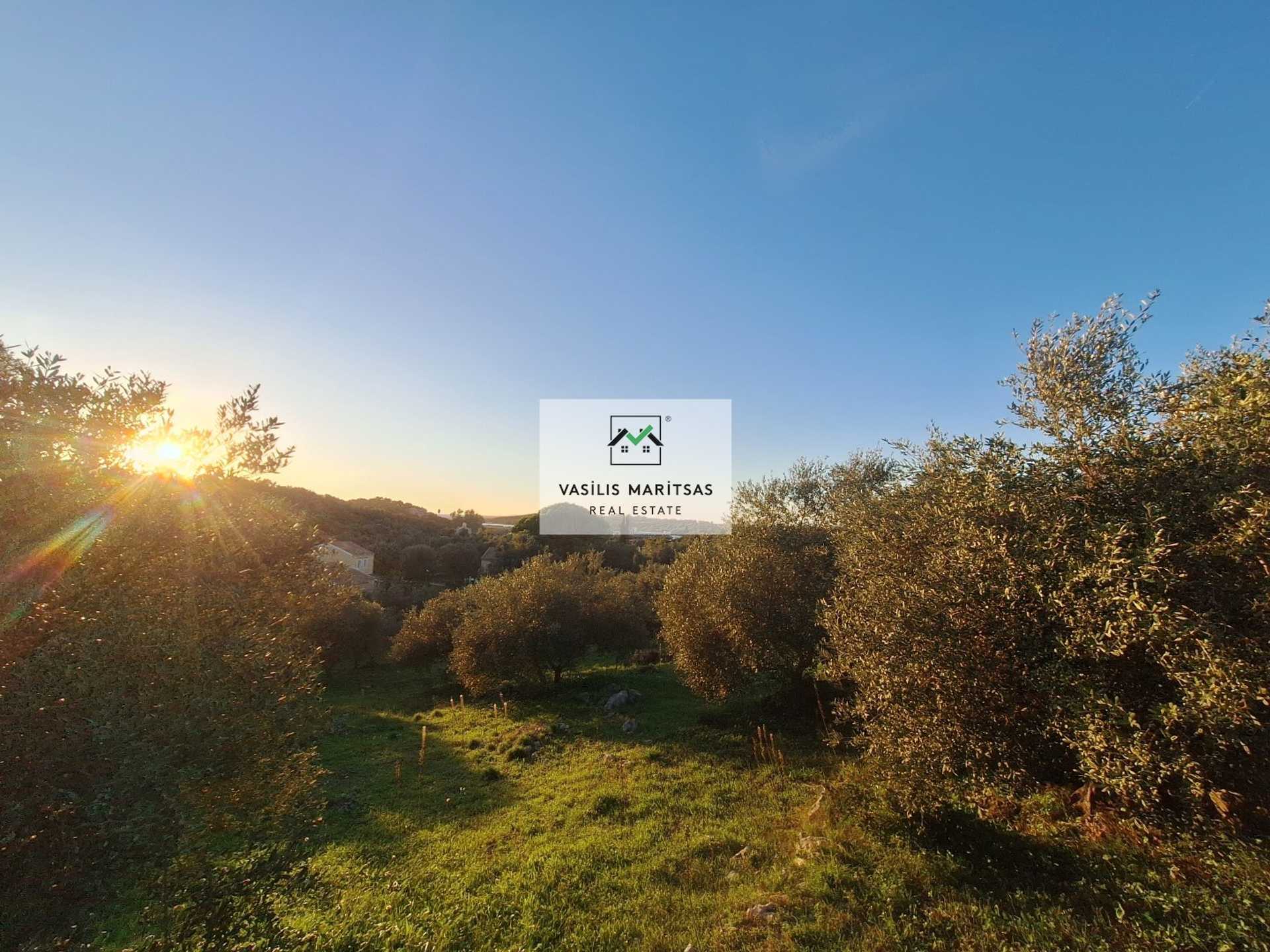 Property thumbnail 3