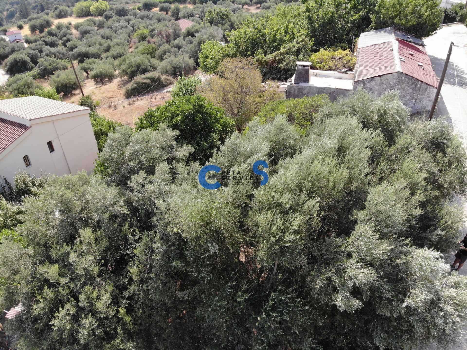 Property thumbnail 4