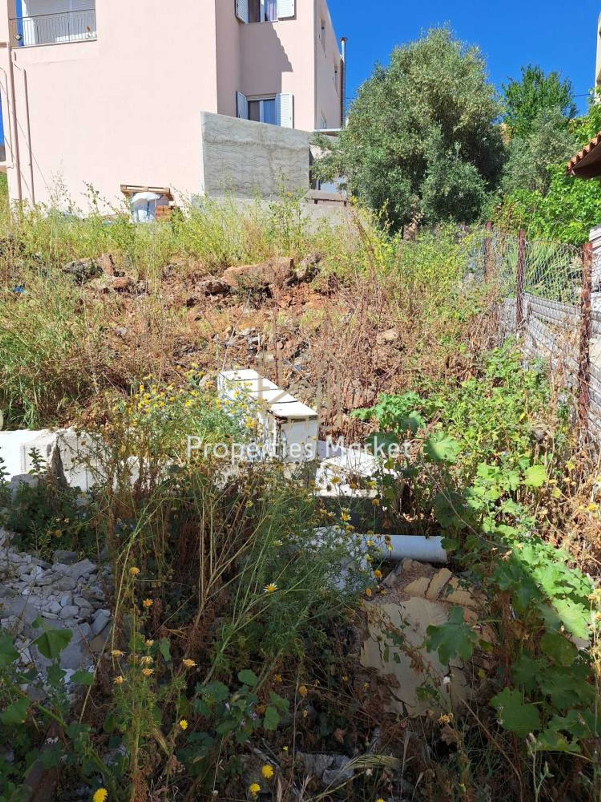 Property thumbnail 4