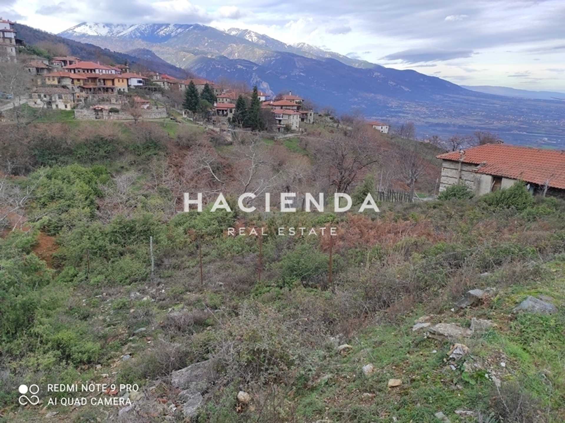 Property thumbnail 3