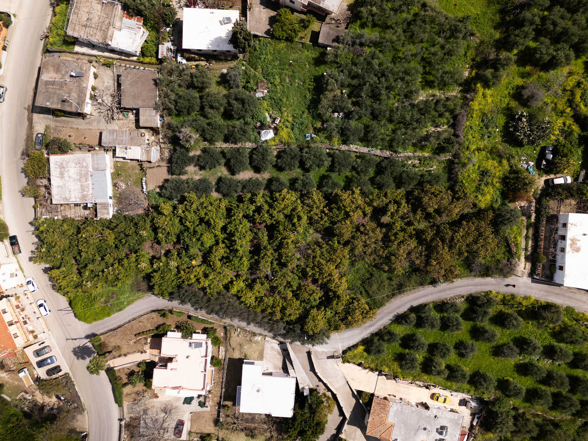 Property thumbnail 3