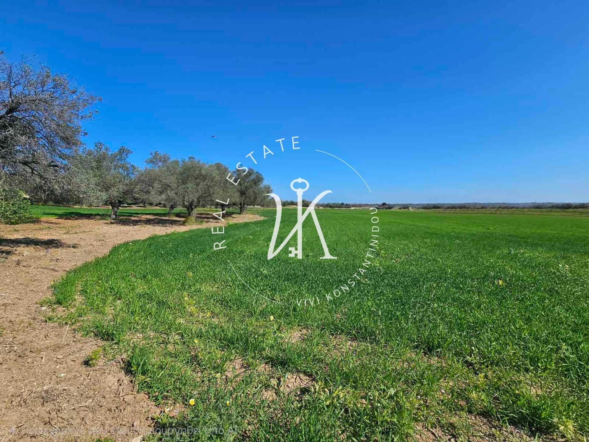 Property thumbnail 4