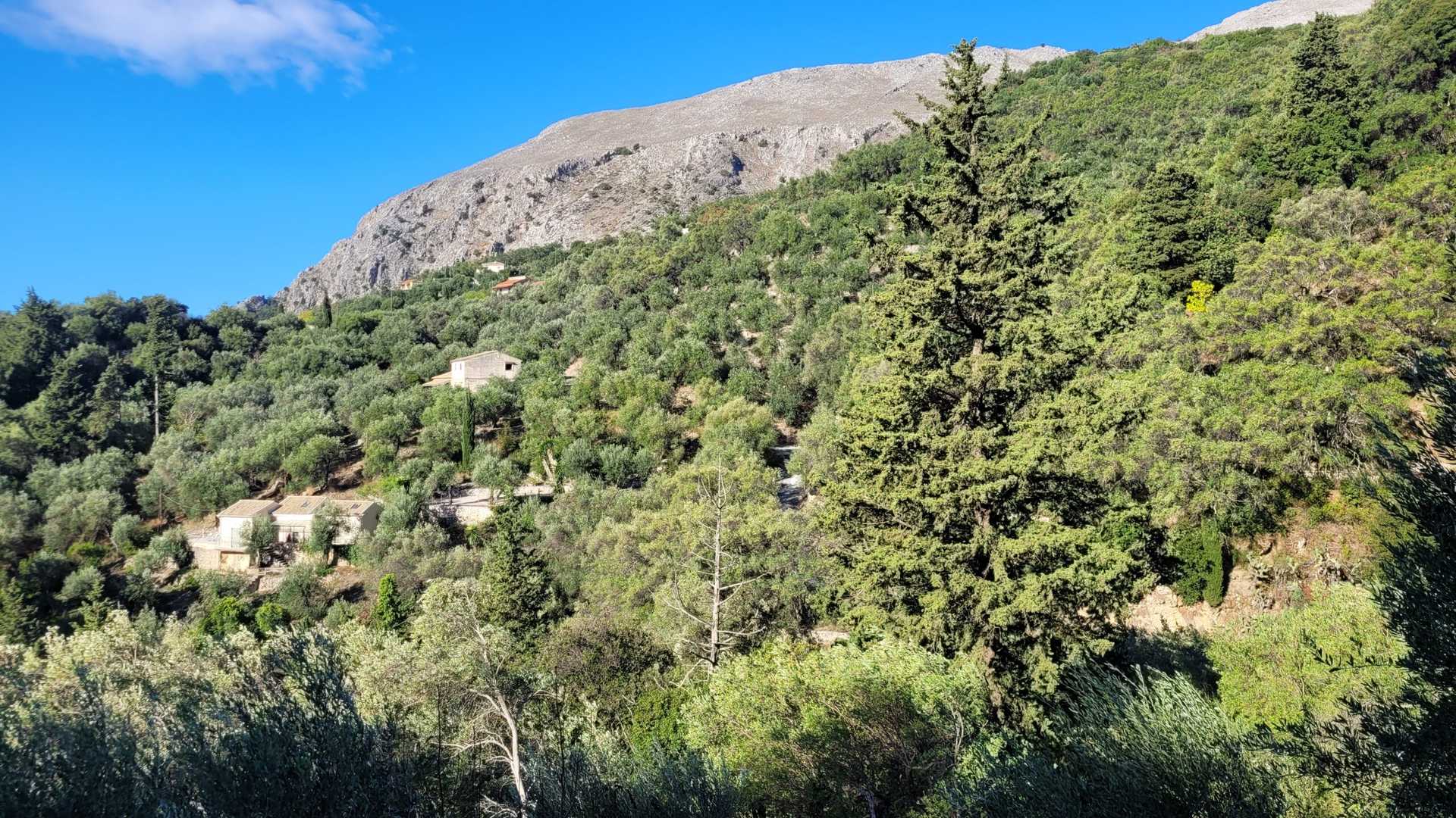 Property thumbnail 4