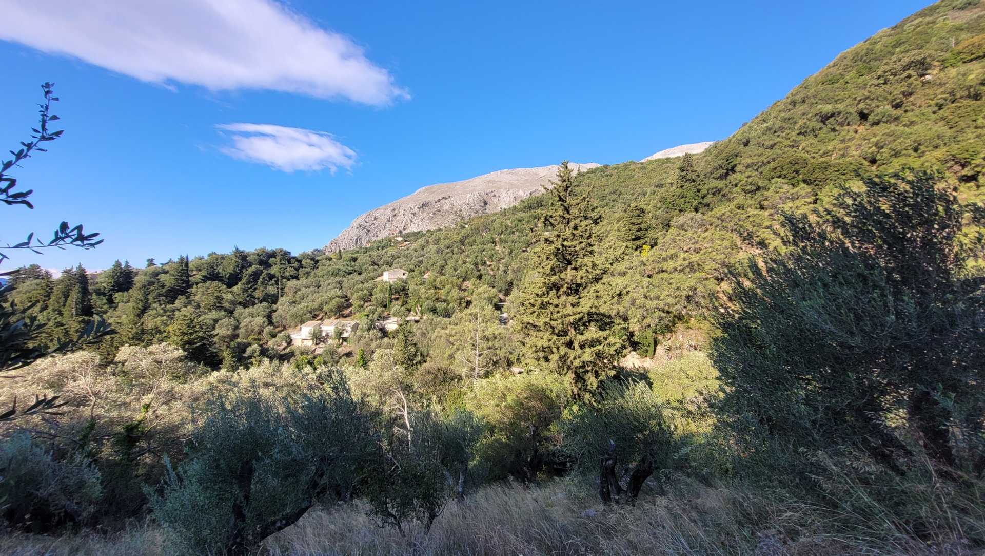 Property thumbnail 3