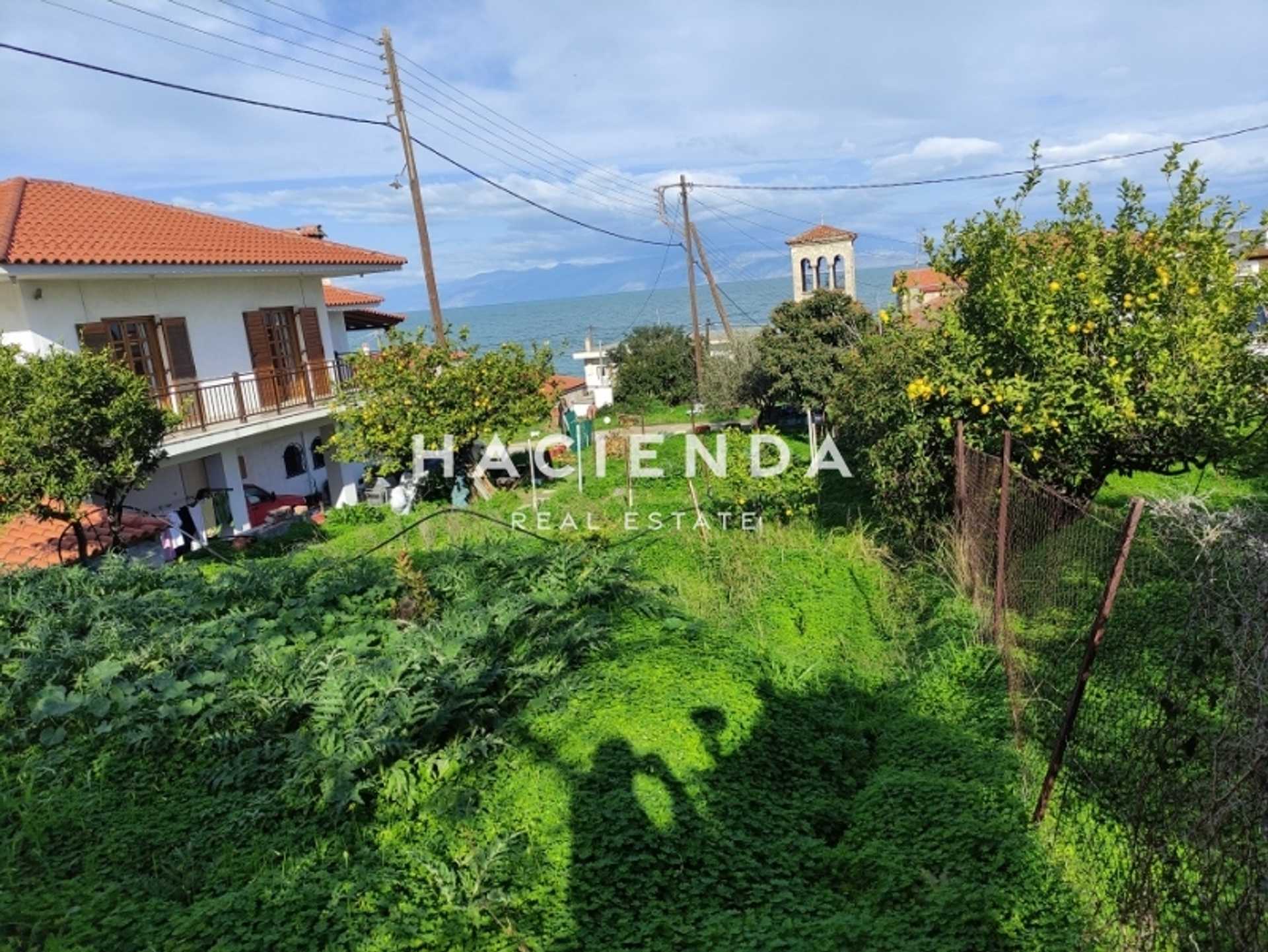 Property thumbnail 3