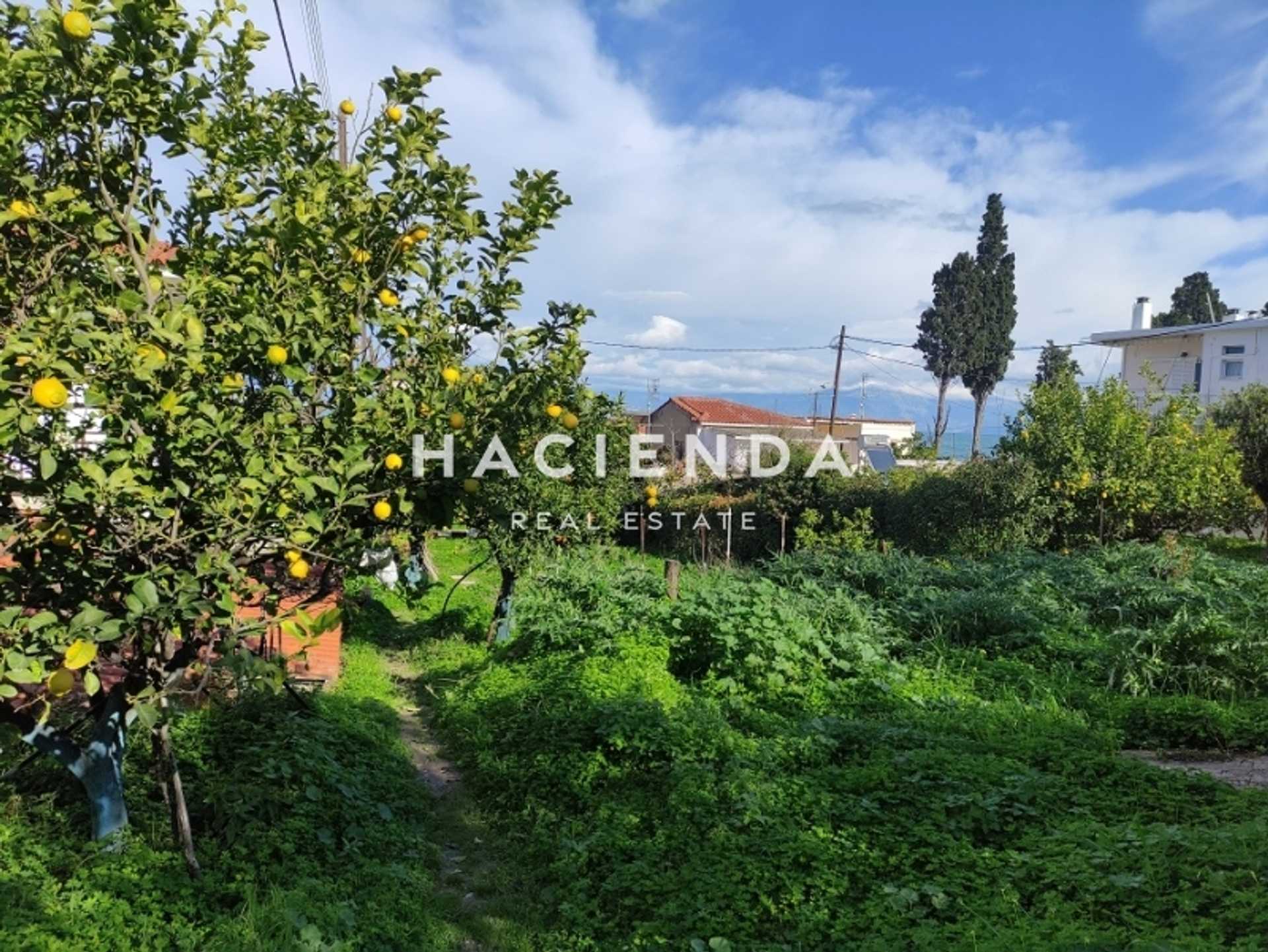 Property thumbnail 4