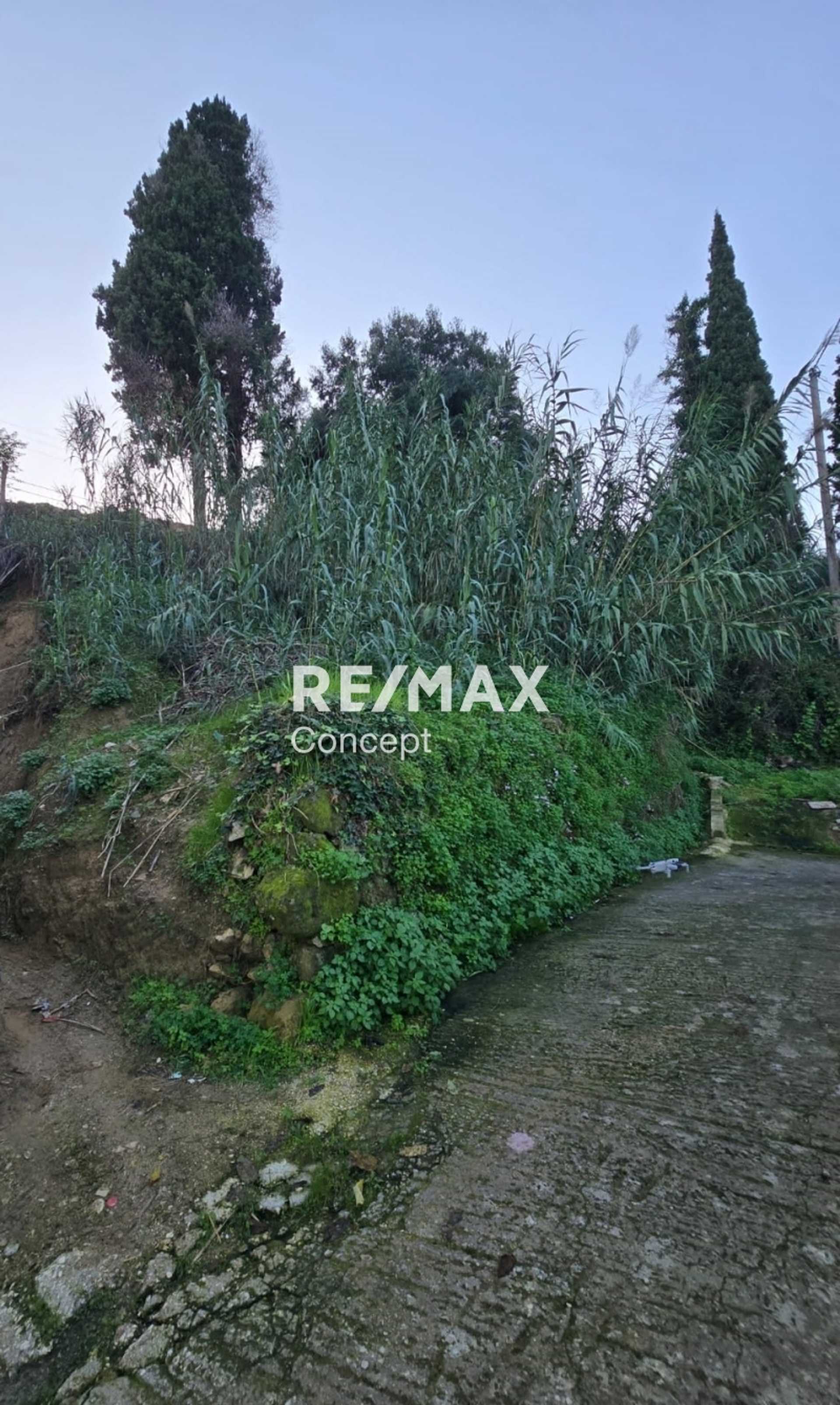 Property thumbnail 2