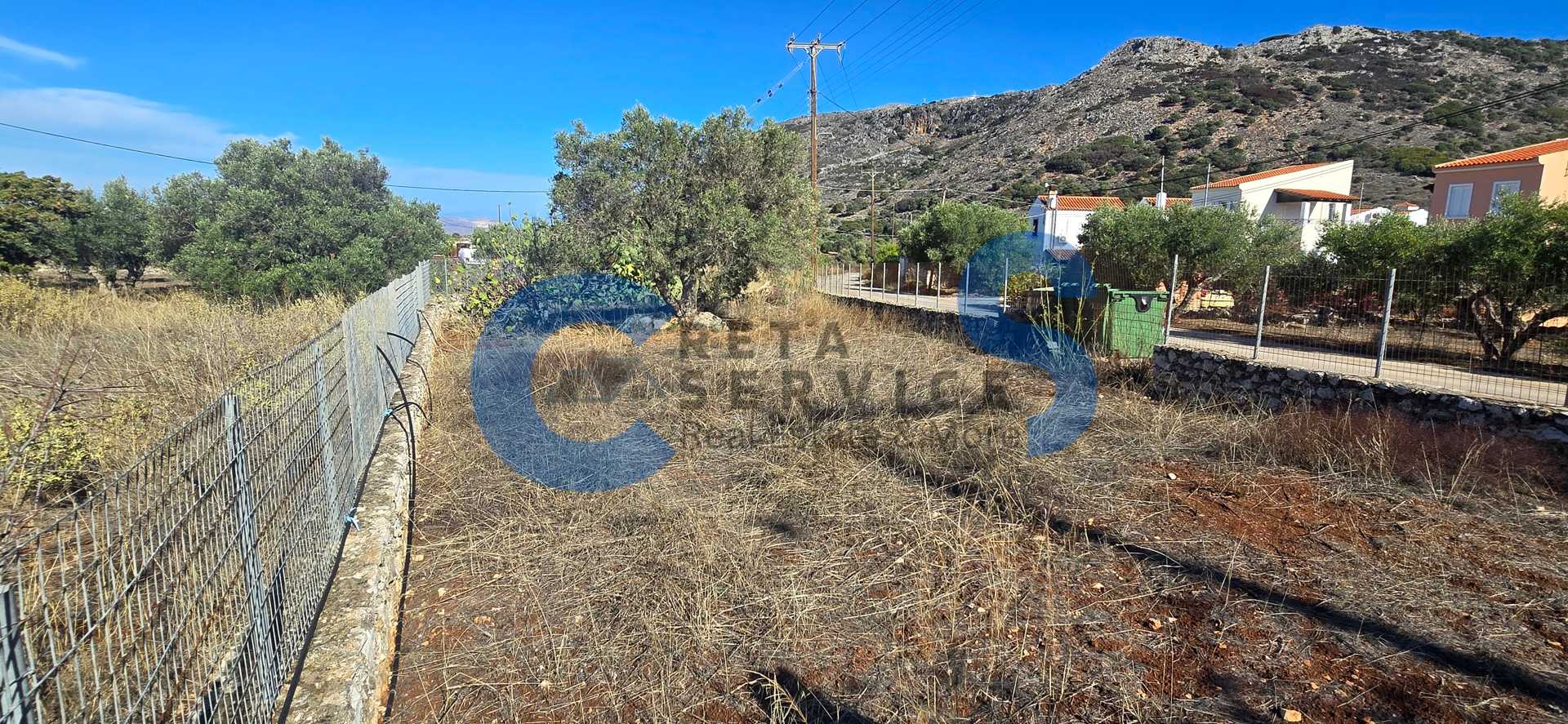 Property thumbnail 4