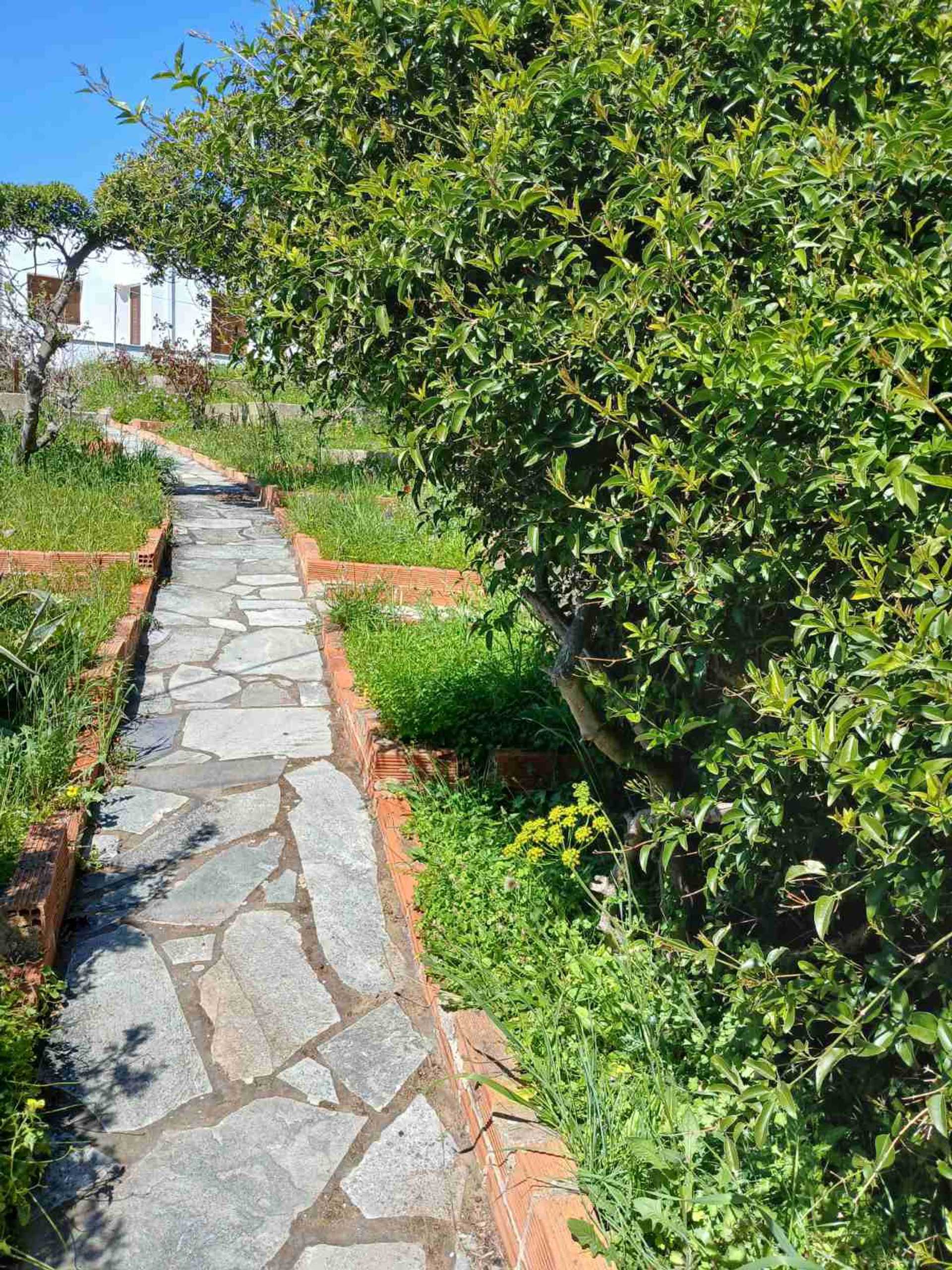 Property thumbnail 3