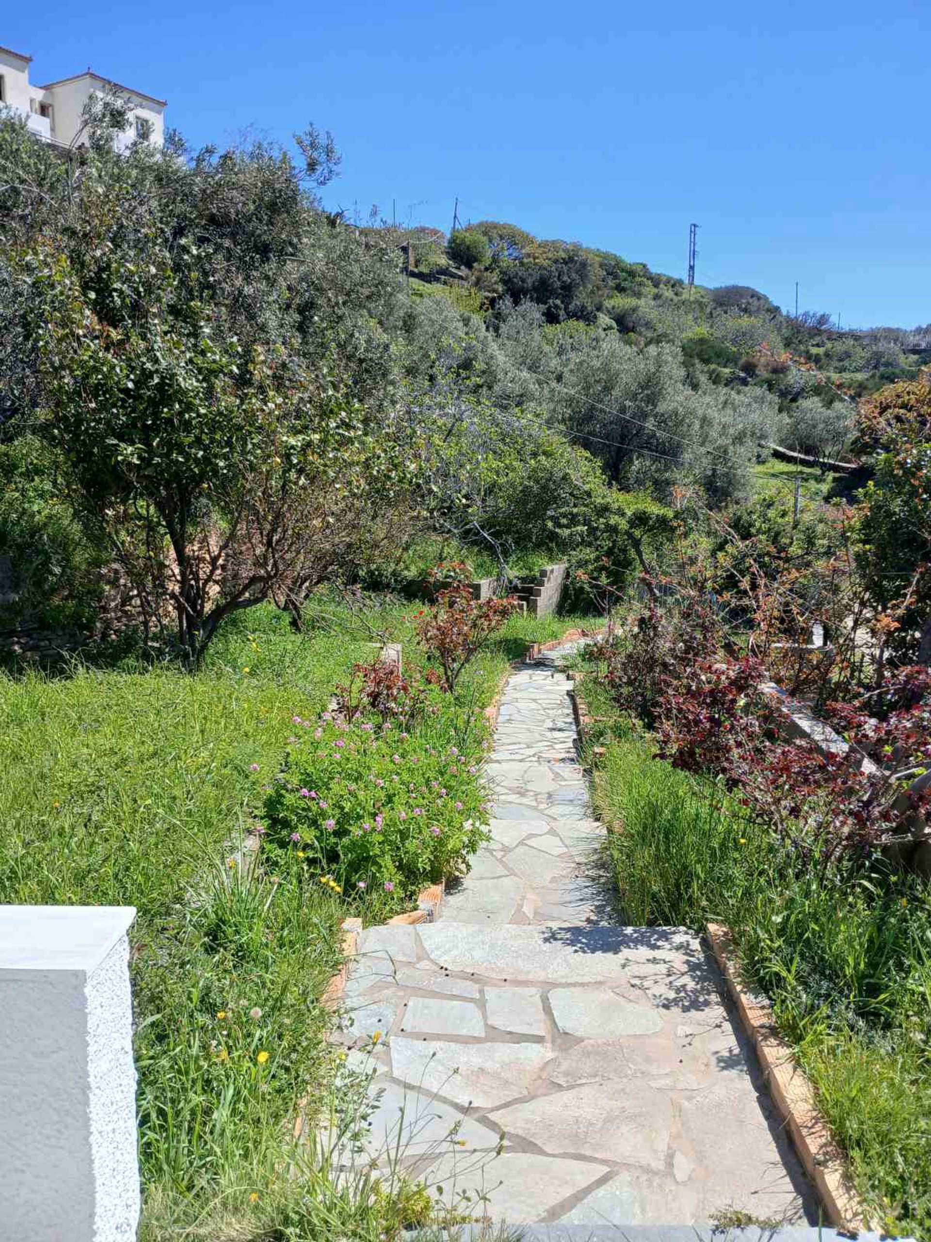 Property thumbnail 2