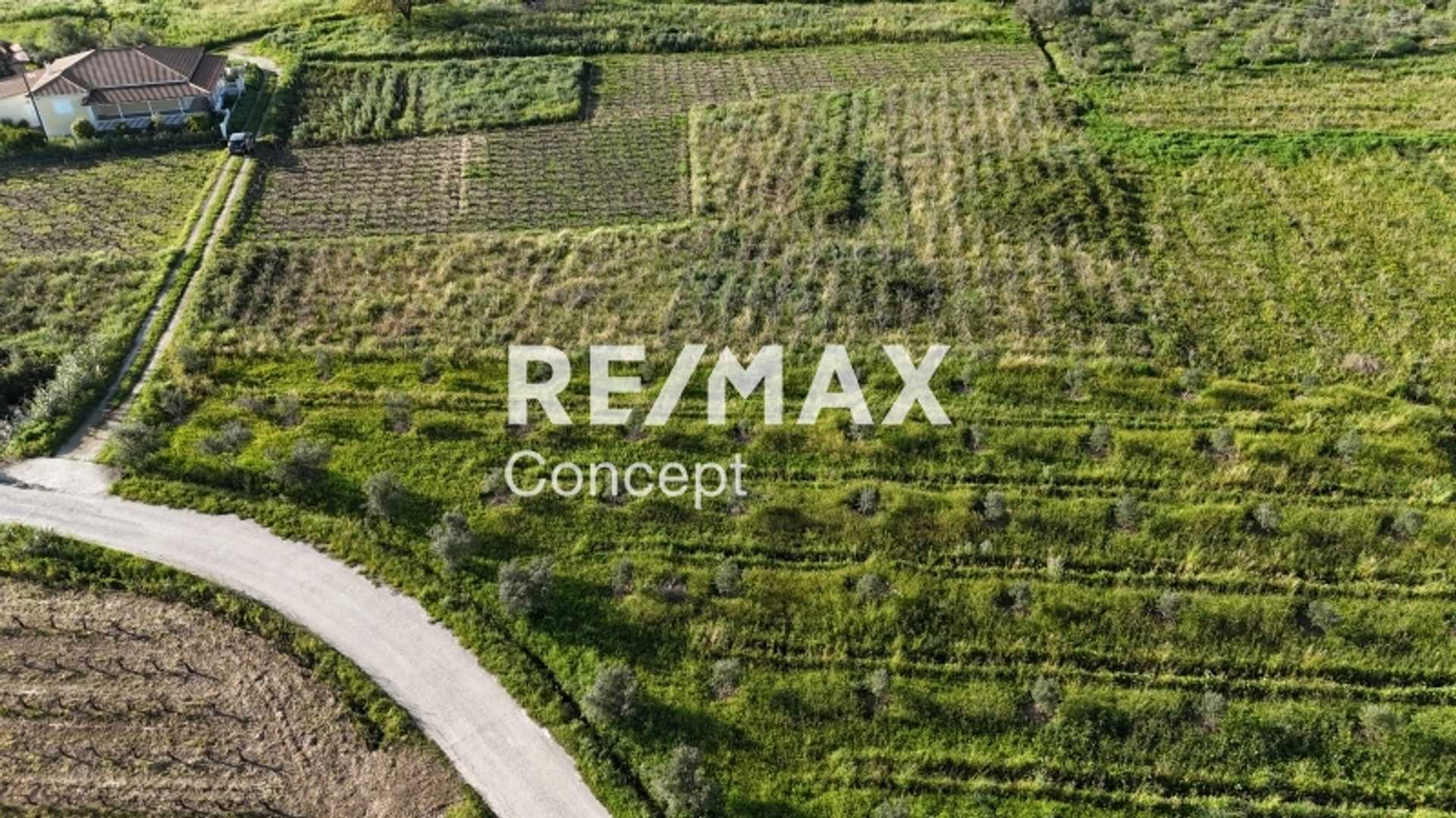 Property thumbnail 2