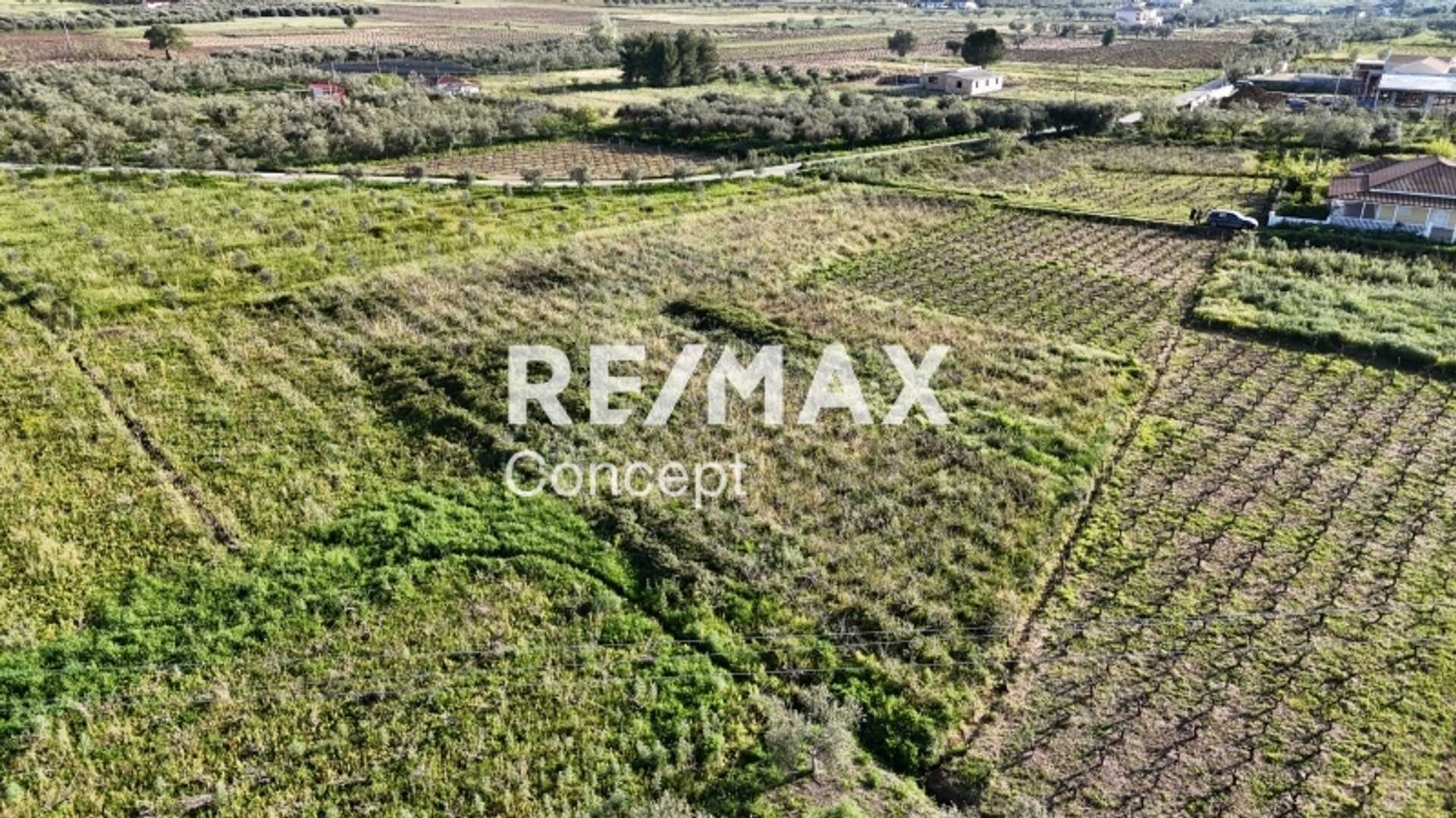 Property thumbnail 4