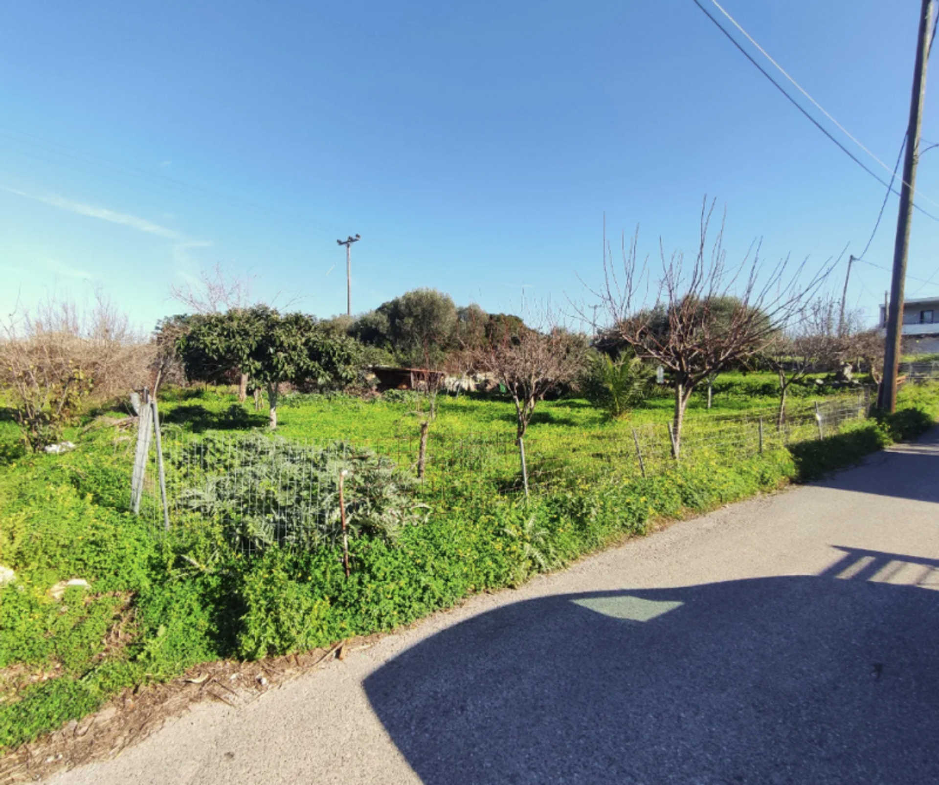 Property thumbnail 2