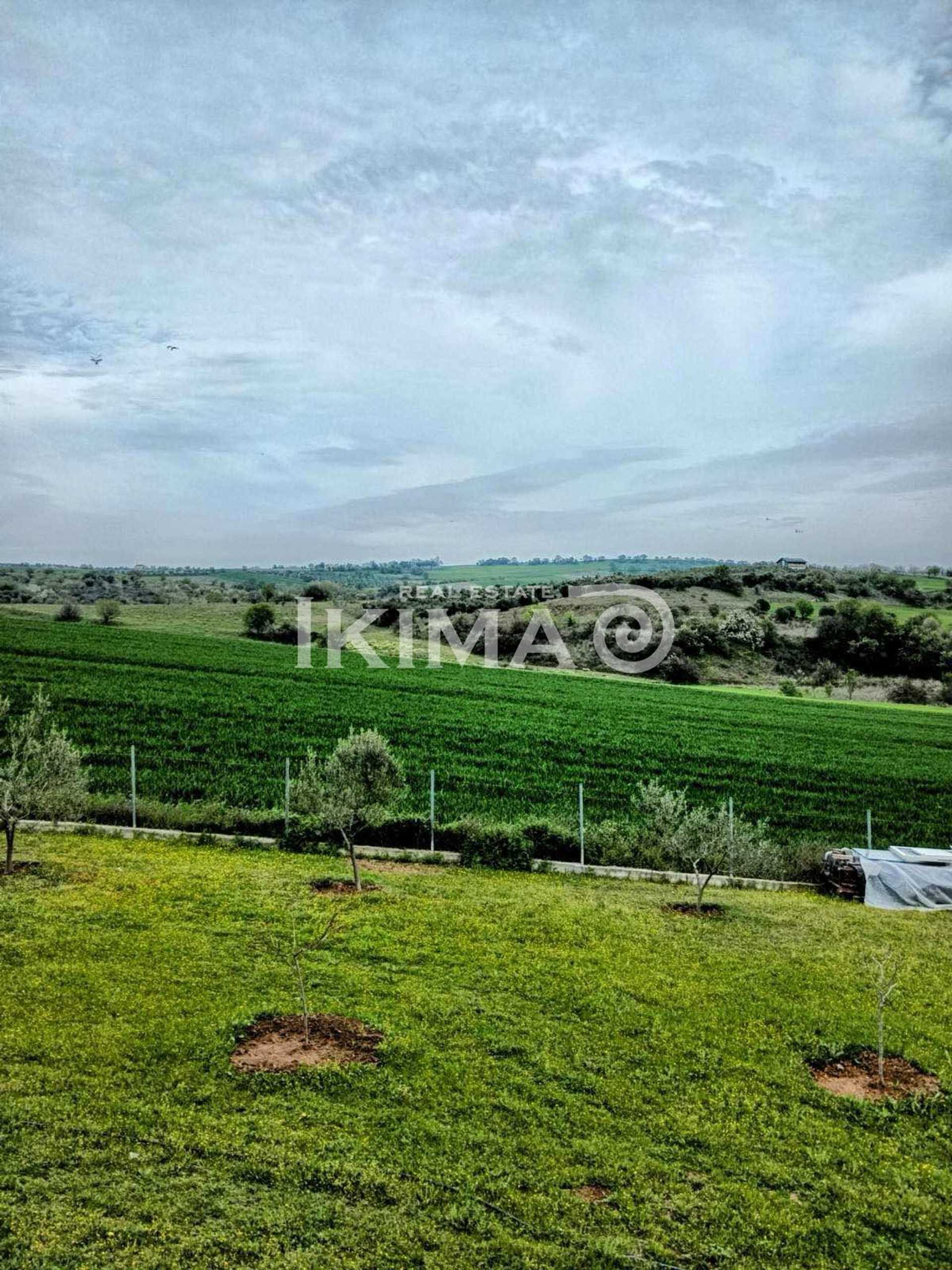 Property thumbnail 4