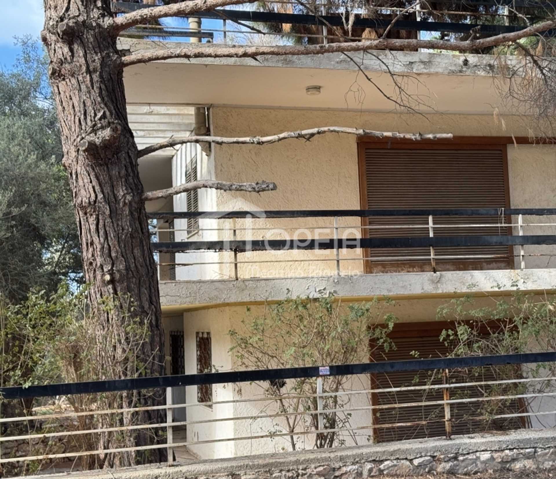 Property thumbnail 3