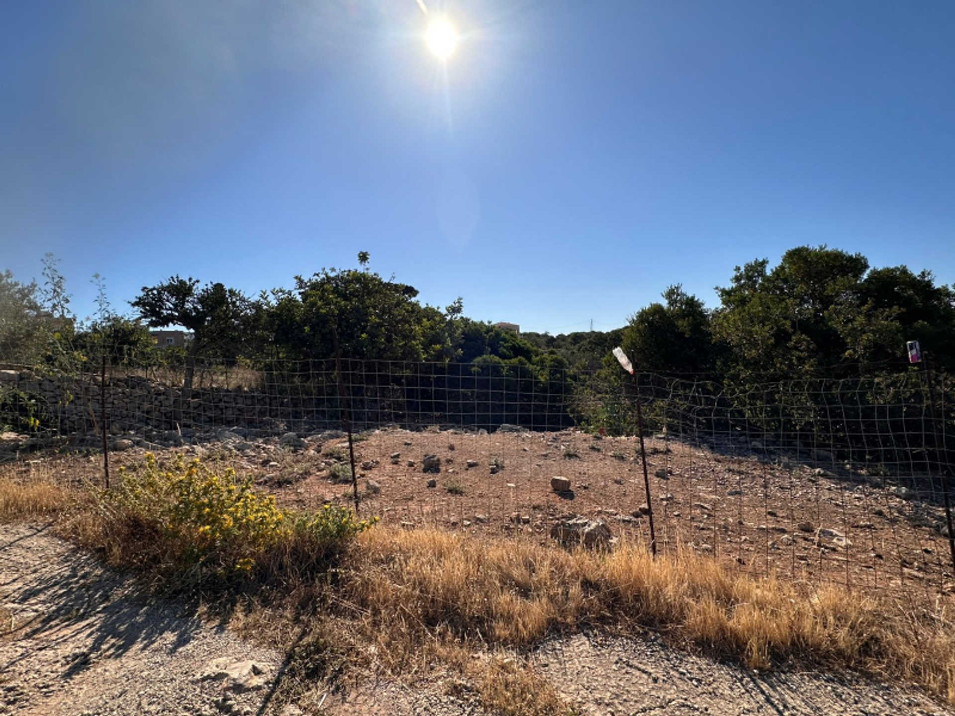 Property thumbnail 3