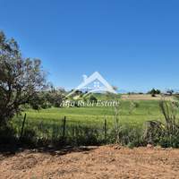 Image 26 of 31