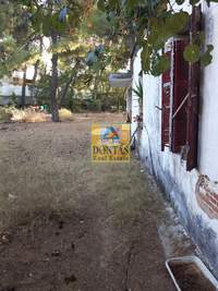 תמונת מגרש, דיוניסוס למכירה (1)