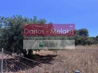 תמונת מגרש, קואנומפידיאנה, חאניה, כרתים למכירה (4)