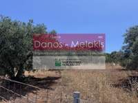 תמונת מגרש, קואנומפידיאנה, חאניה למכירה (2)