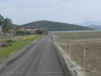 תמונת לורקוי, phthiotis למכירה (2)