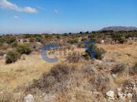 תמונת מגרש, אפוקורנס למכירה (3)