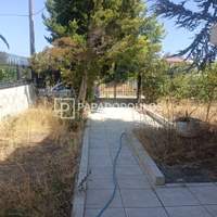 Image 15 of 16