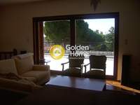 תמונת בית, סרוניקוס למכירה (3)