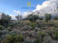 תמונת מגרש, קאלמטה למכירה (4)