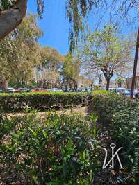 Image 22 of 25