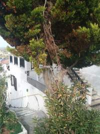 תמונת בית, אנדרוס, הקיקלאדיים למכירה (2)