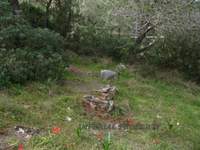 Image 24 of 25