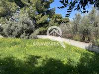 תמונת מגרש, ספטה ארטמידה, אתונה למכירה (4)