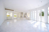 תמונת אוראוקסטרו למכירה (2)