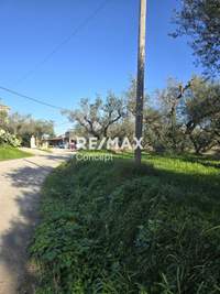 תמונת מגרש, רשות מקומית זקינתוס למכירה (4)