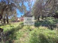Image 11 of 20