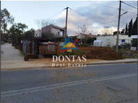 תמונת קיפיסיה, אתונה למכירה