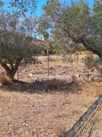 תמונת שטח חקלאי, אנאוויסוס, סרוניקוס, אתונה למכירה (3)