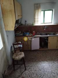 תמונת בית, פלטניאס למכירה (1)