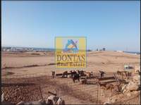 תמונת מגרש, נקסוס למכירה (4)