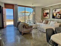 תמונת קאריסטוס, אוויה למכירה