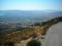 תמונת קאריסטוס למכירה