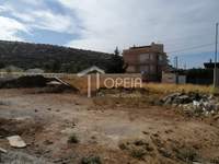 תמונת מגרש, סרוניקוס למכירה (3)