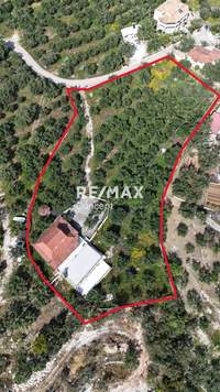 תמונת בית, זקינתוס למכירה (3)